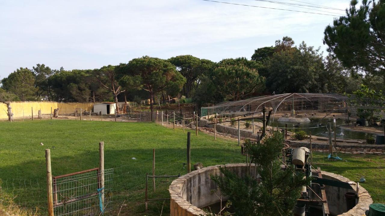 Quinta Vita - Vila Pera المانسيل المظهر الخارجي الصورة