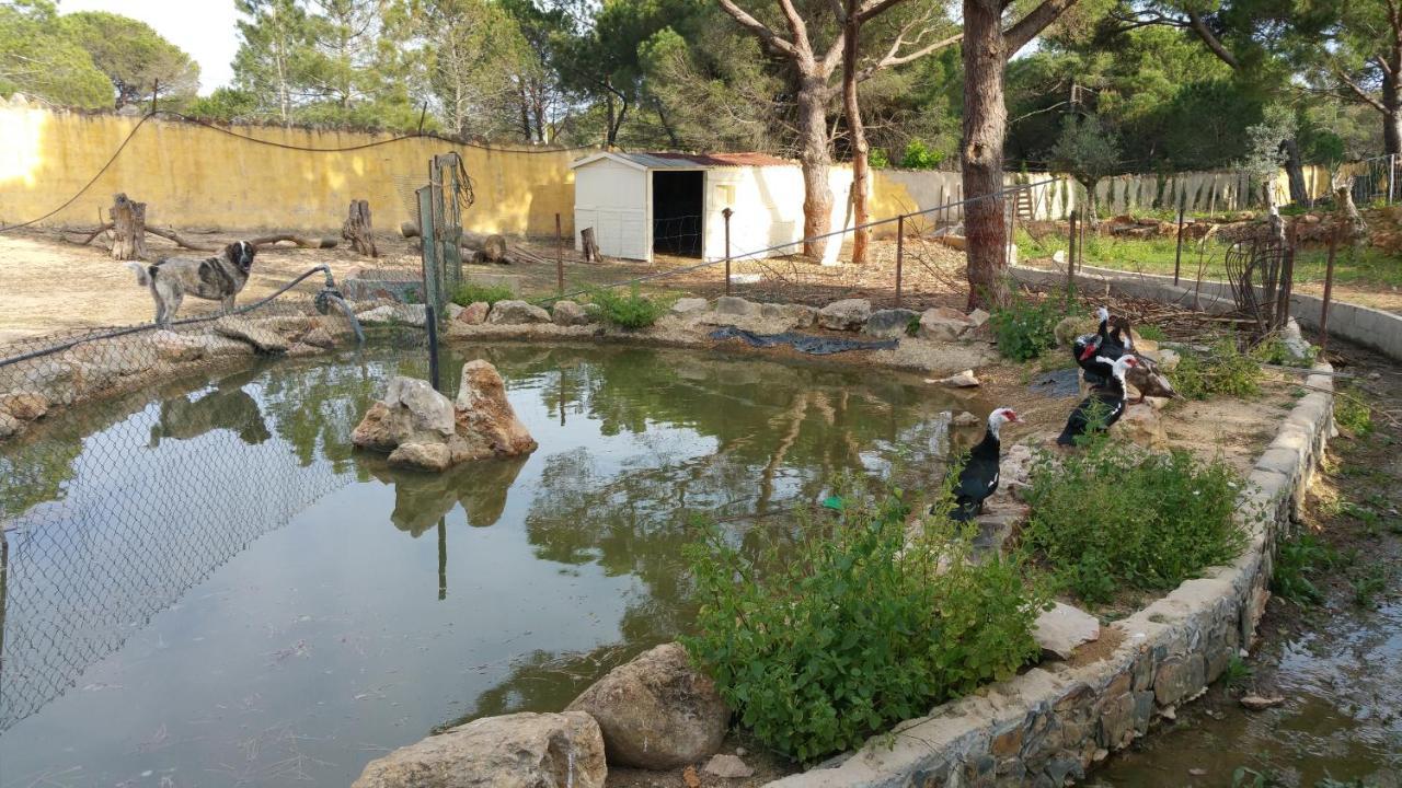 Quinta Vita - Vila Pera المانسيل المظهر الخارجي الصورة