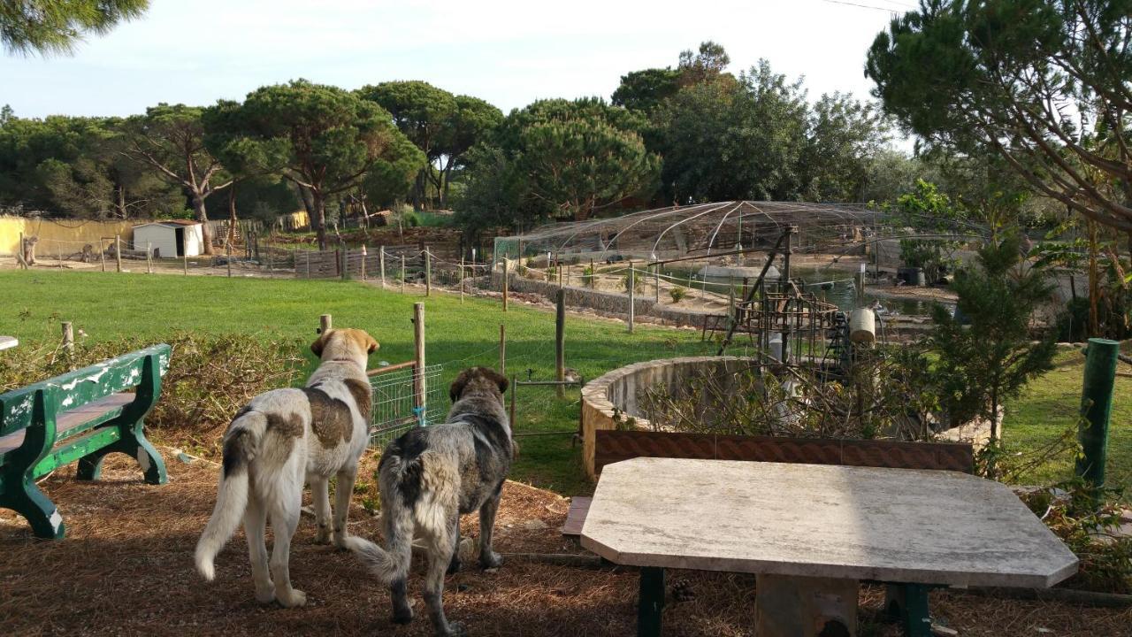 Quinta Vita - Vila Pera المانسيل المظهر الخارجي الصورة